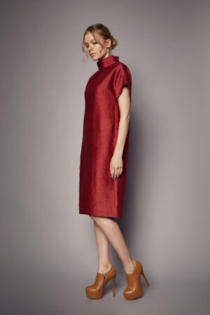 Cherry Red Casual Elegance Dress